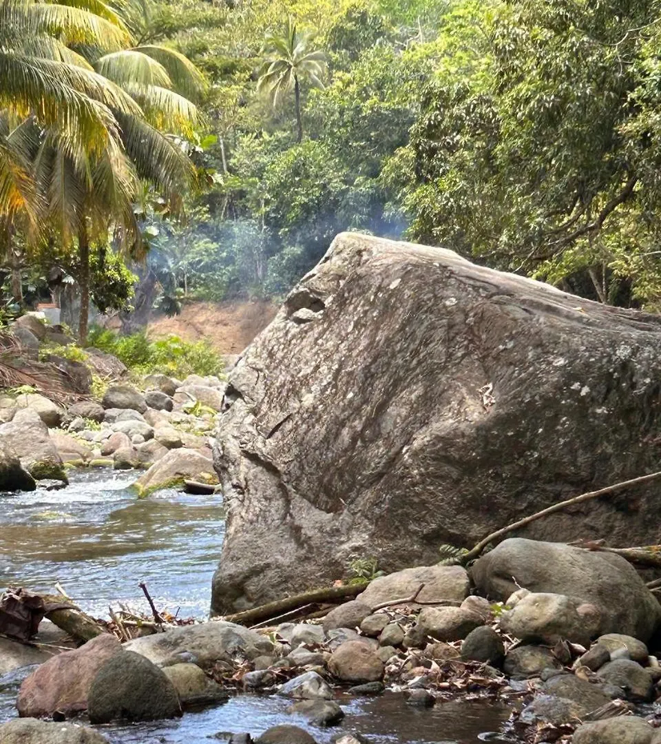 Les Jardins De Delgres Daire Trois-Rivières Guadeloupe